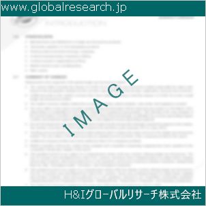 グローバルリサーチ調査資料のイメージ